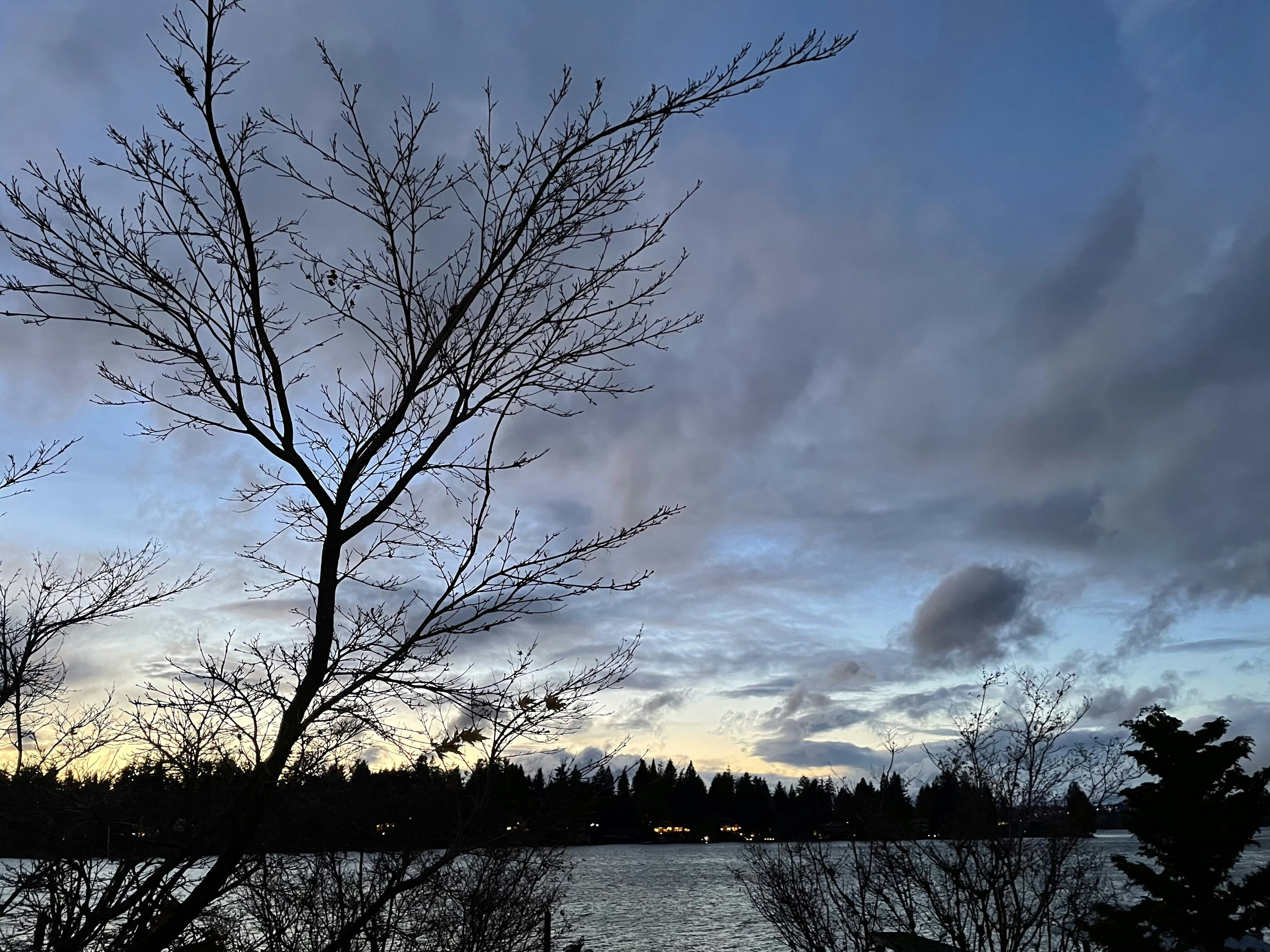 Click to View Larger