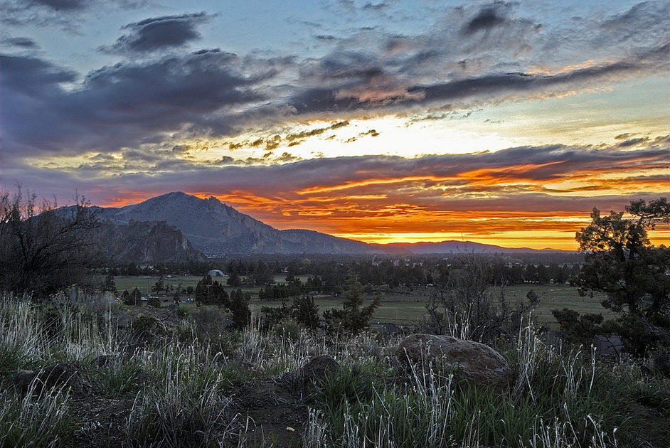 Click to View Larger