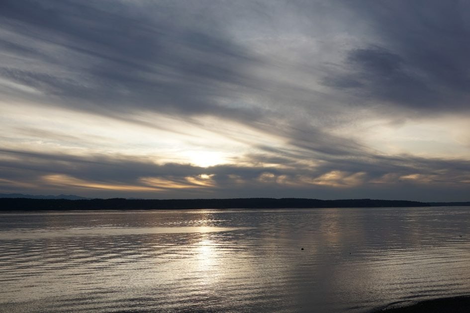 Click to View Larger