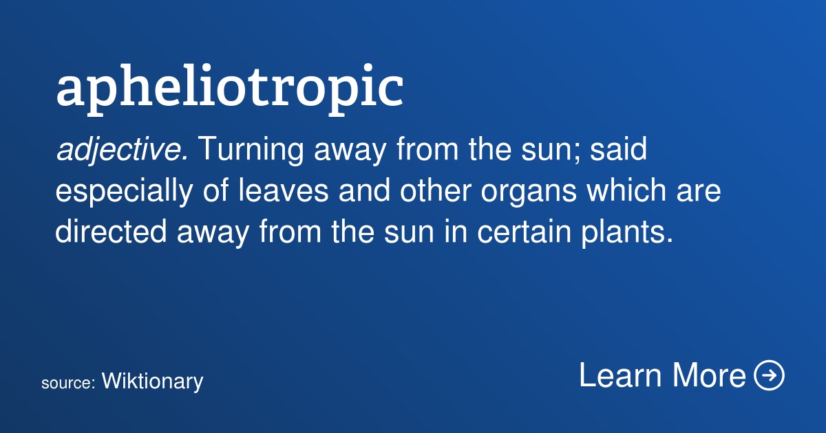 Click to View Larger