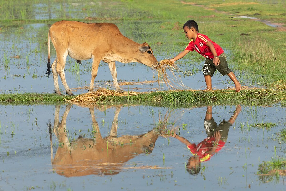 Click to View Larger