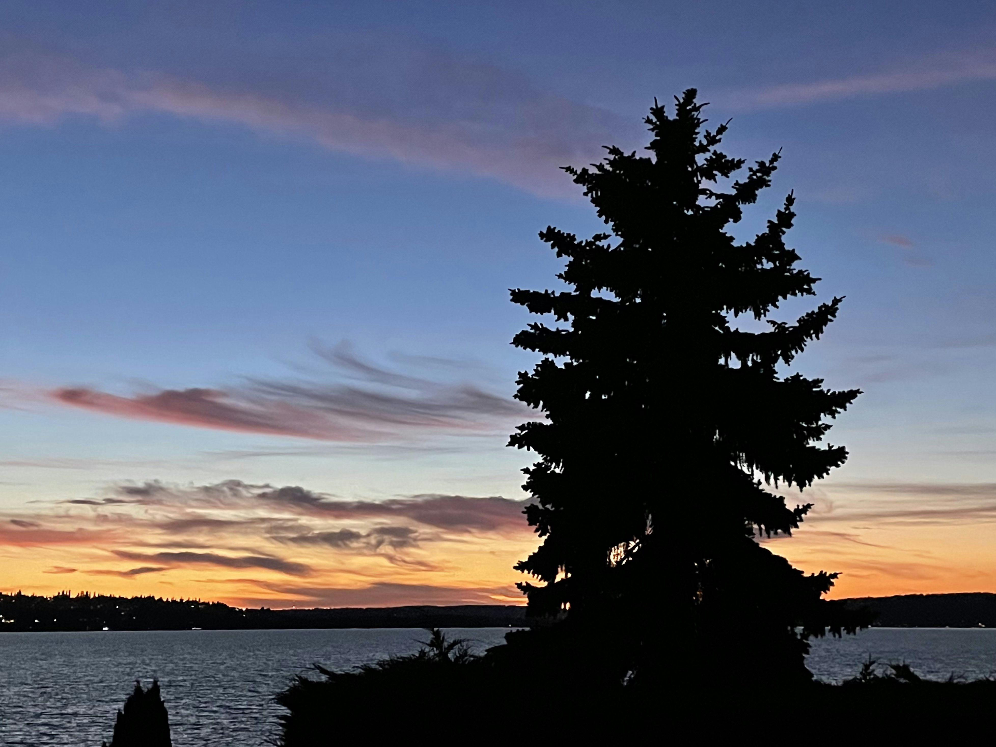 Click to View Larger