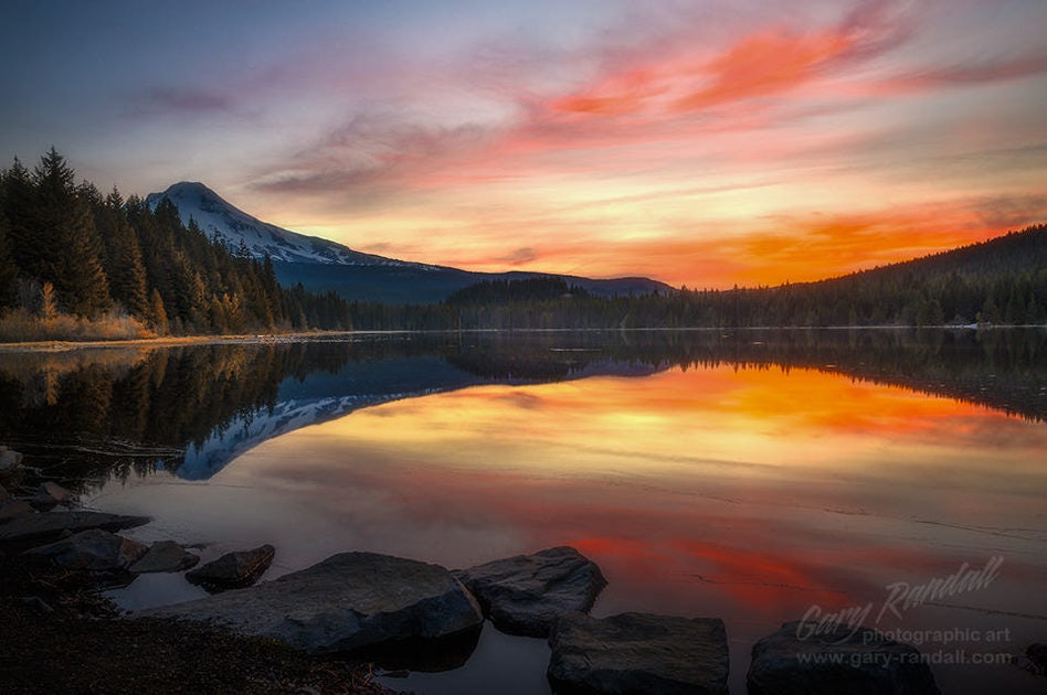 Click to View Larger