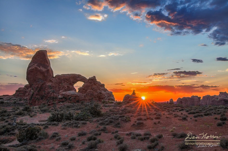 Click to View Larger