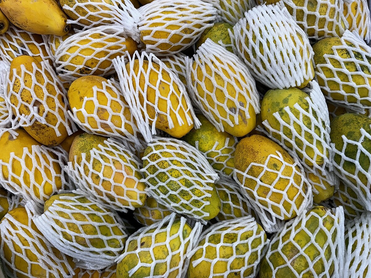 Click to View Larger