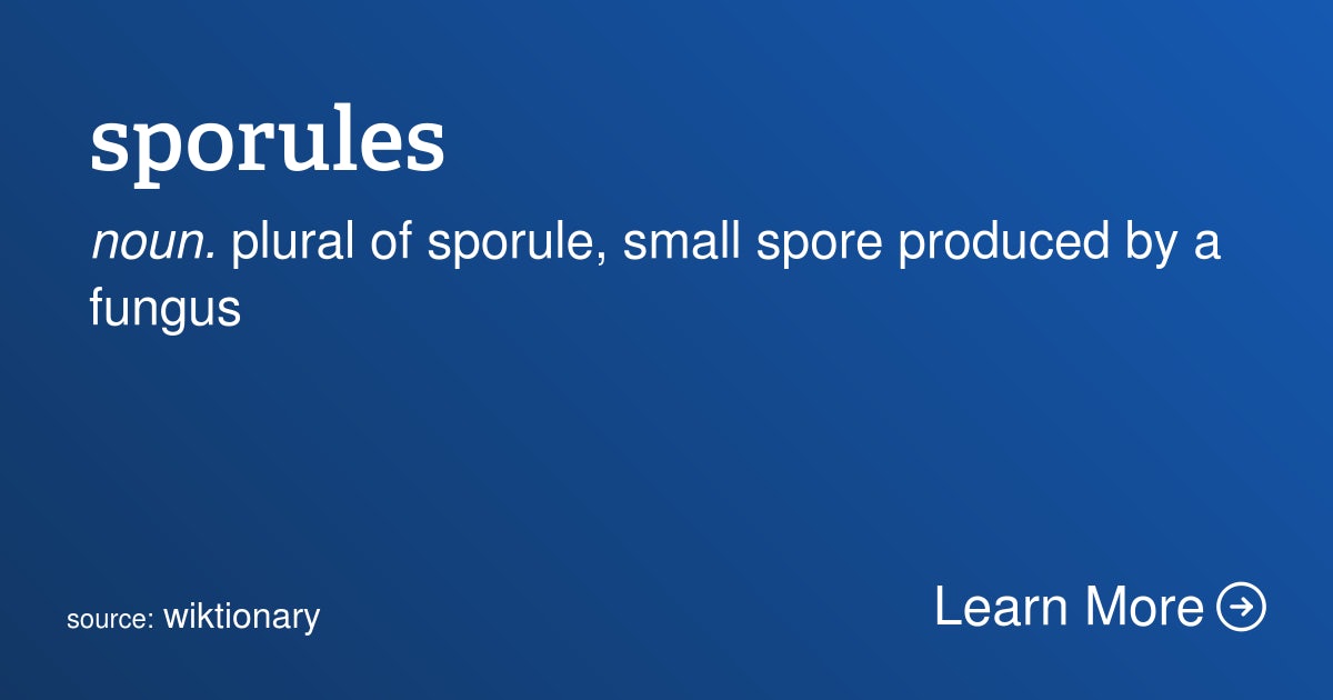 Click to View Larger