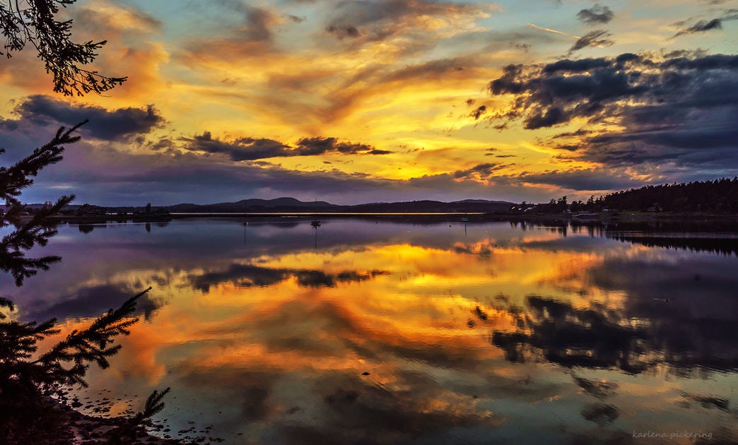 Click to View Larger