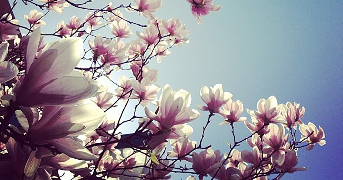 View More About This URL