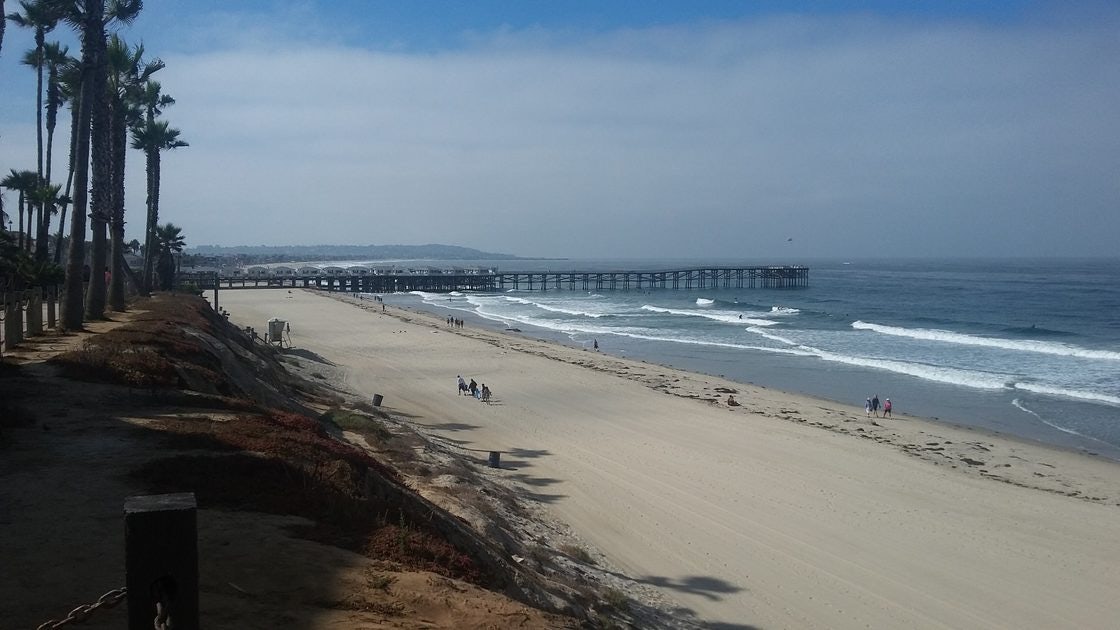 Click to View Larger