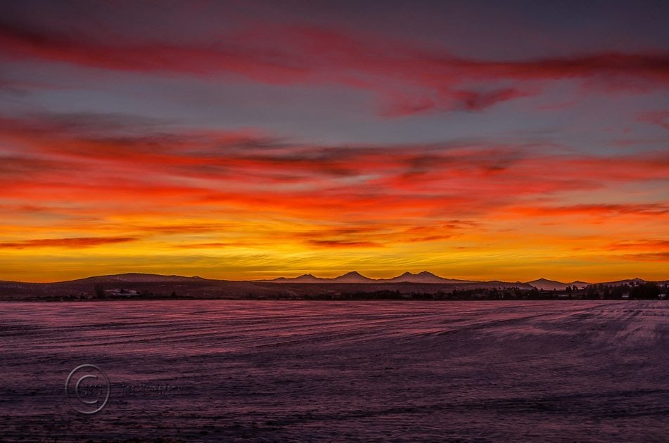 Click to View Larger