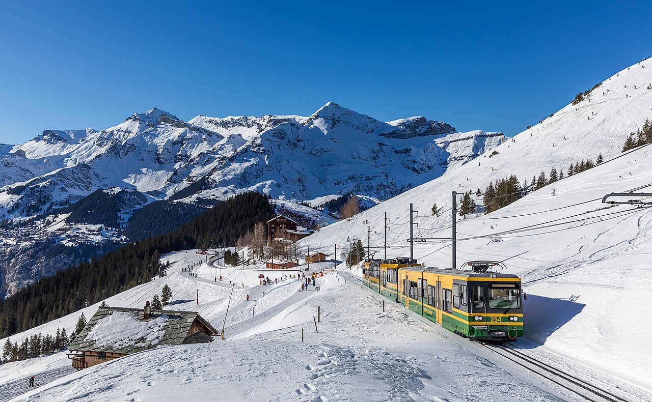 Click to View Larger