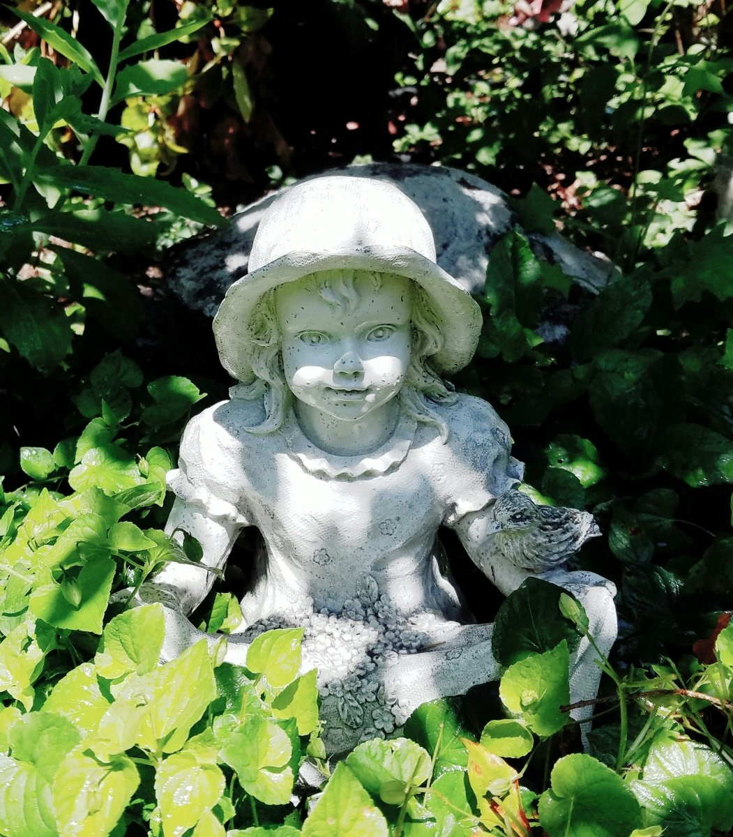 Click to View Larger