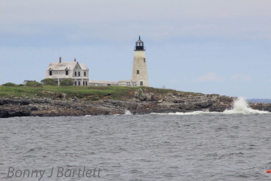 Click to View Larger