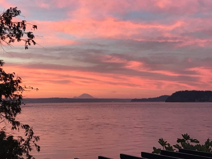 Click to View Larger