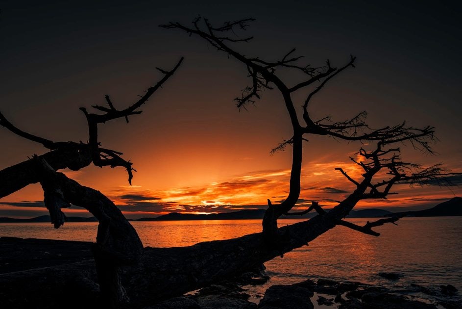 Click to View Larger