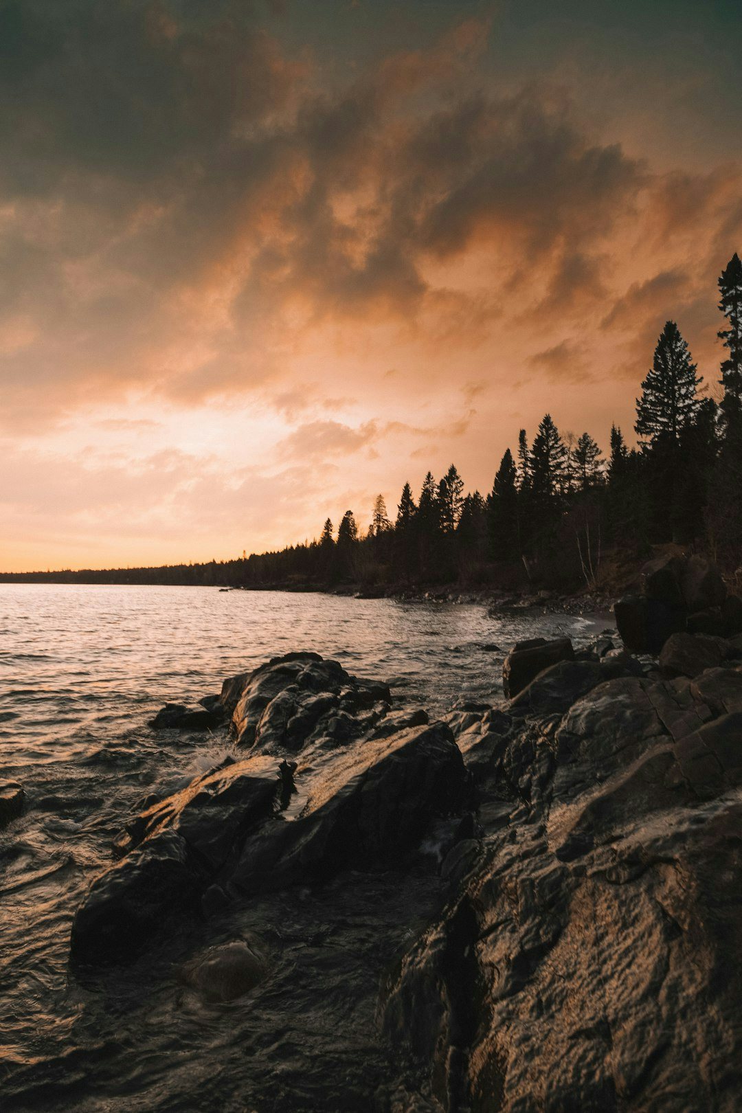 Click to View Larger