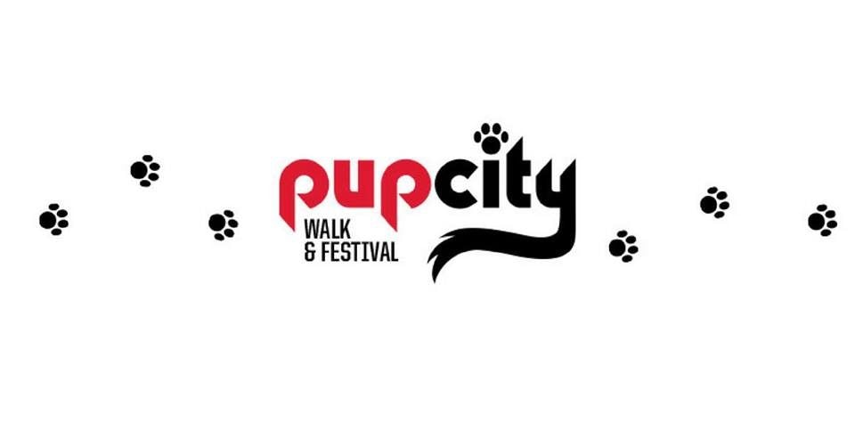 Click to View Larger