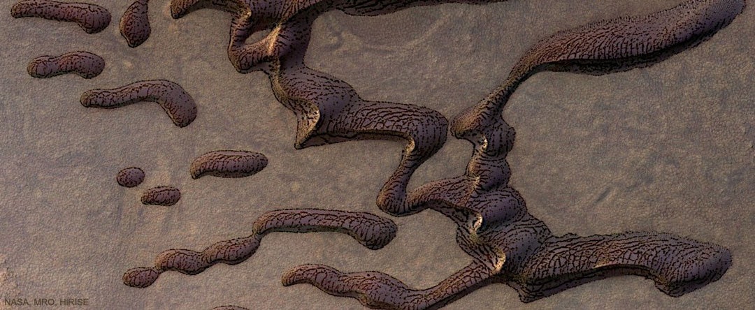 Click to View Larger