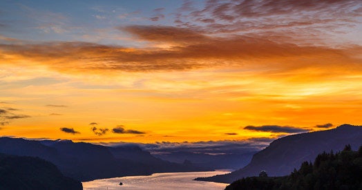 Click to View Larger