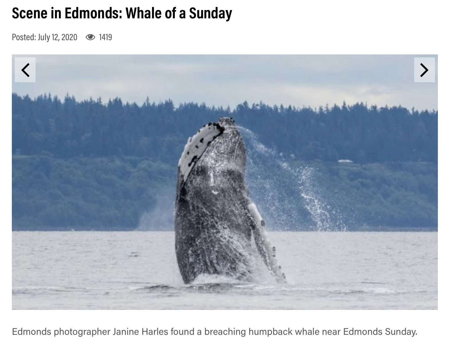 Click to View Larger