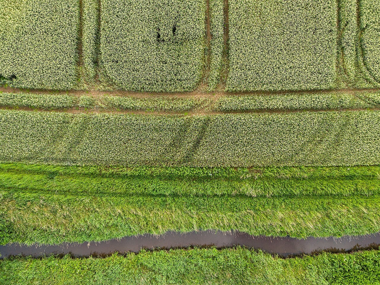 Click to View Larger