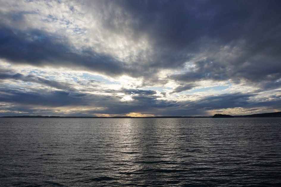 Click to View Larger