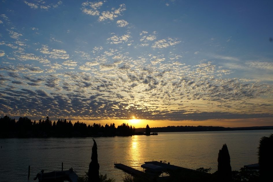 Click to View Larger