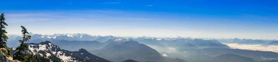 Click to View Larger