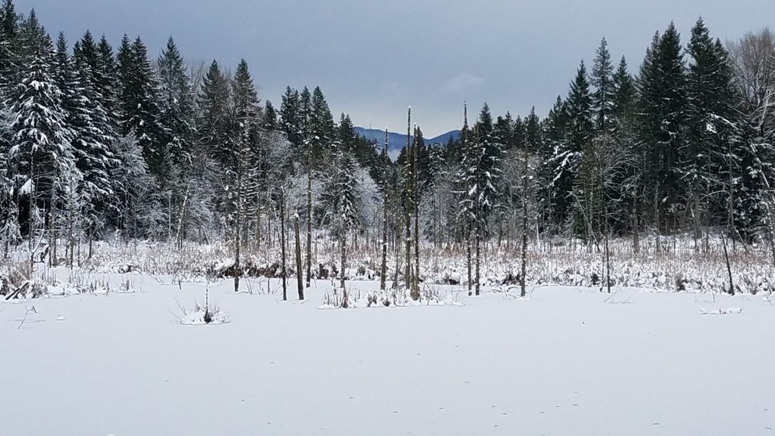 Click to View Larger