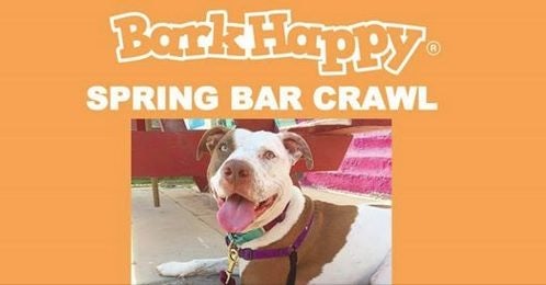 Click to View Larger