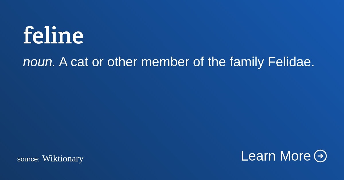 Click to View Larger