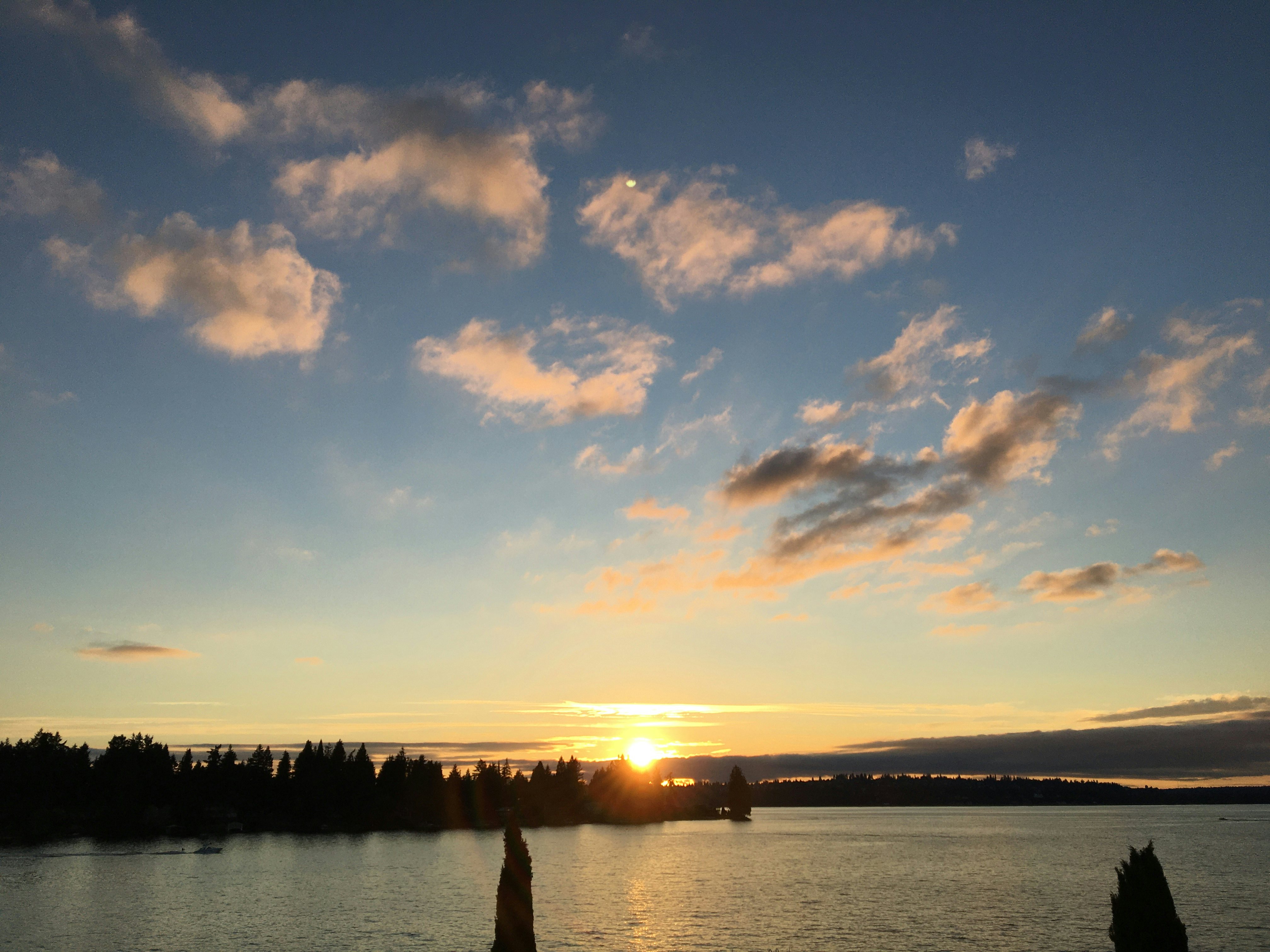 Click to View Larger