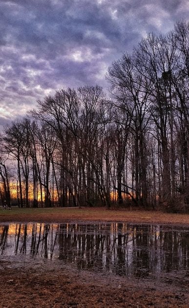 Click to View Larger