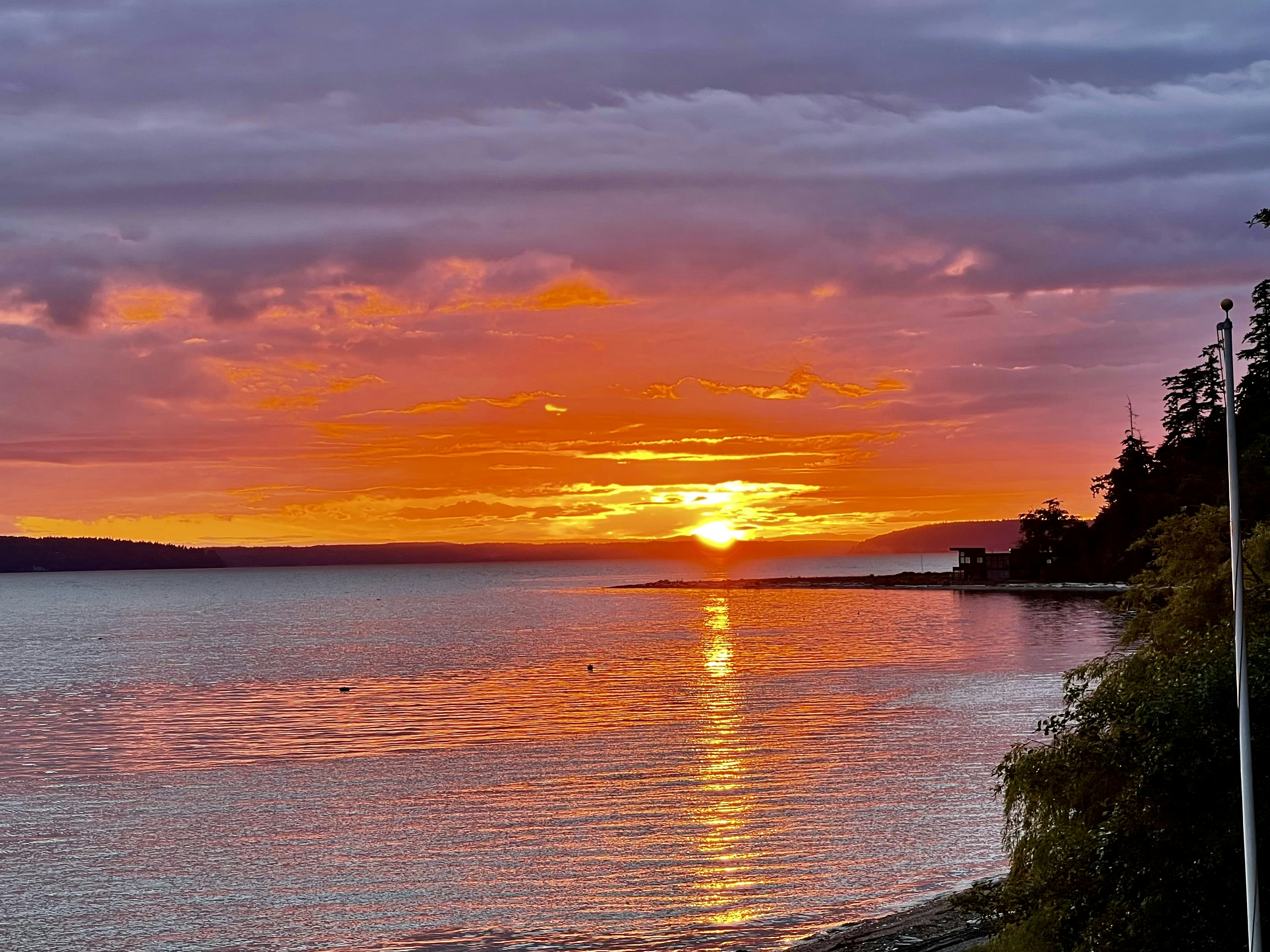 Click to View Larger