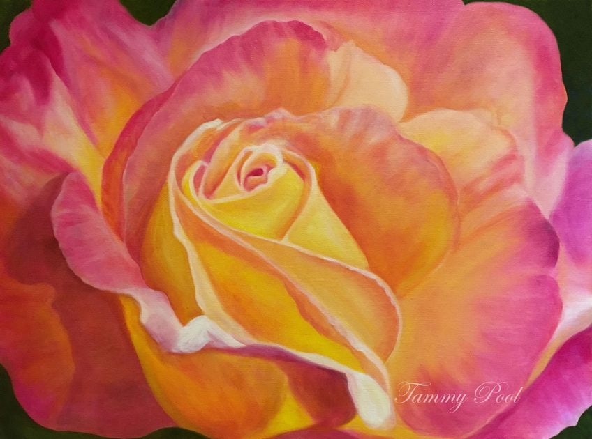 Click to View Larger