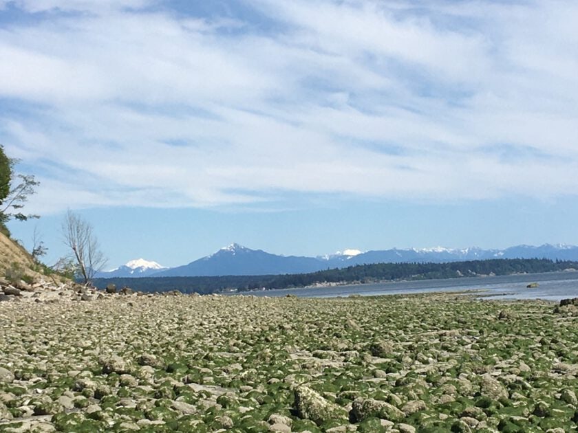 Click to View Larger