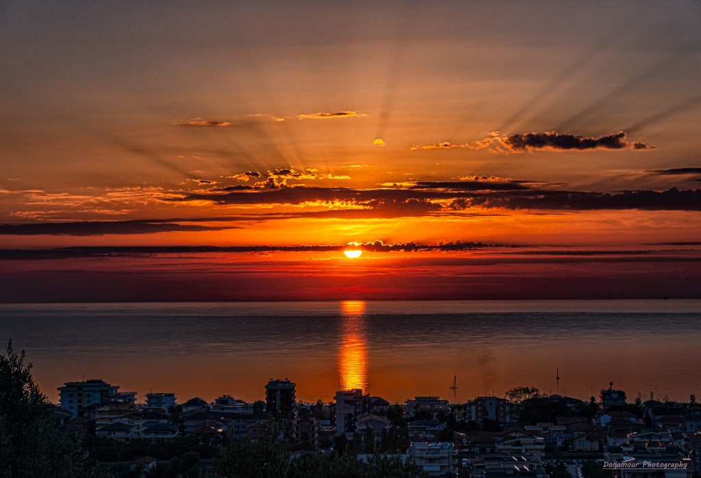 Click to View Larger