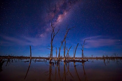 Click to View Larger