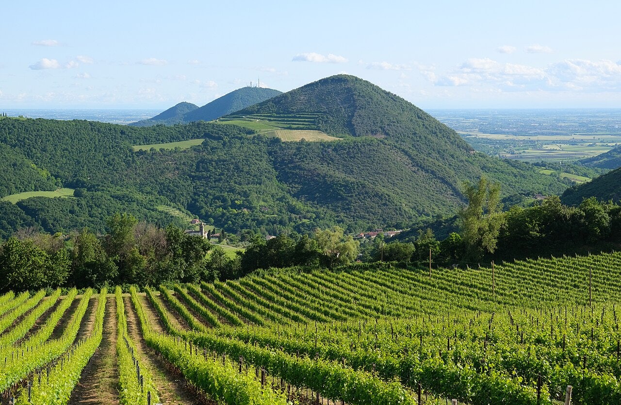 Click to View Larger