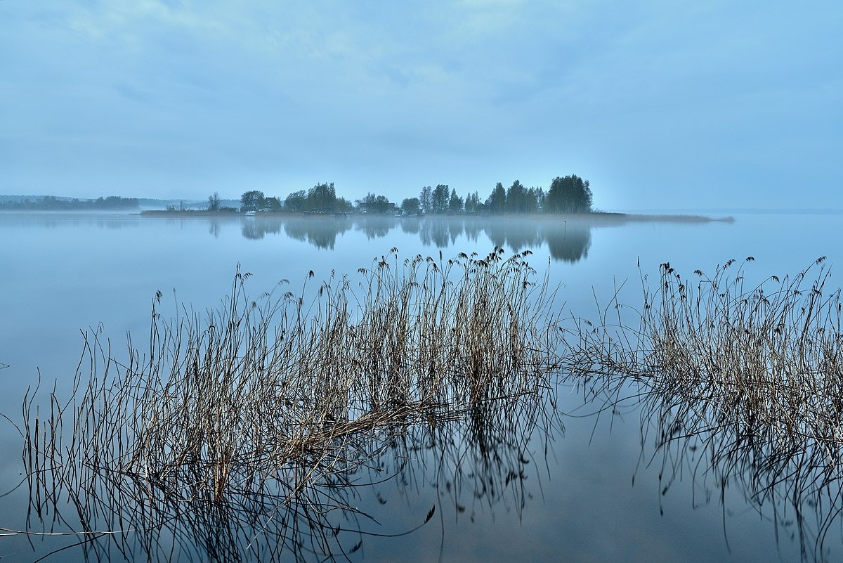 Click to View Larger