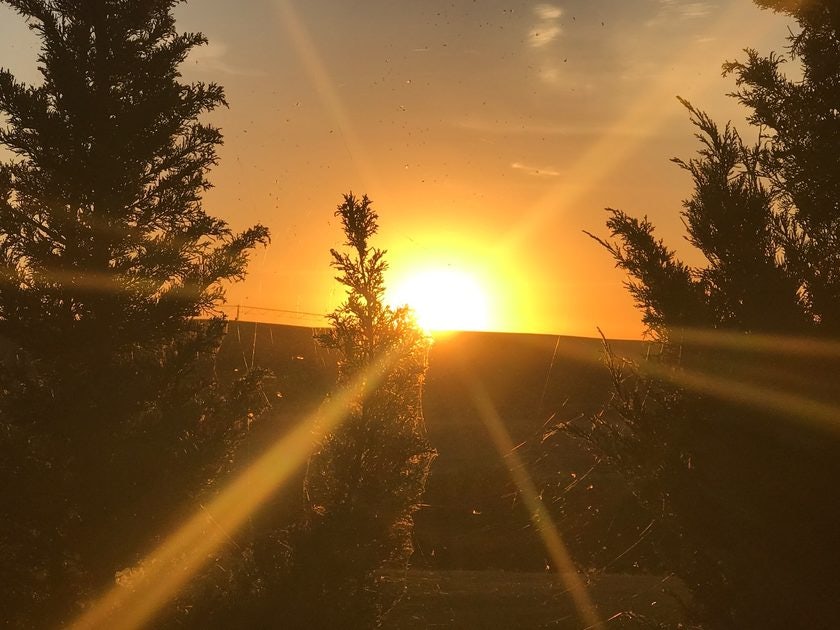 Click to View Larger