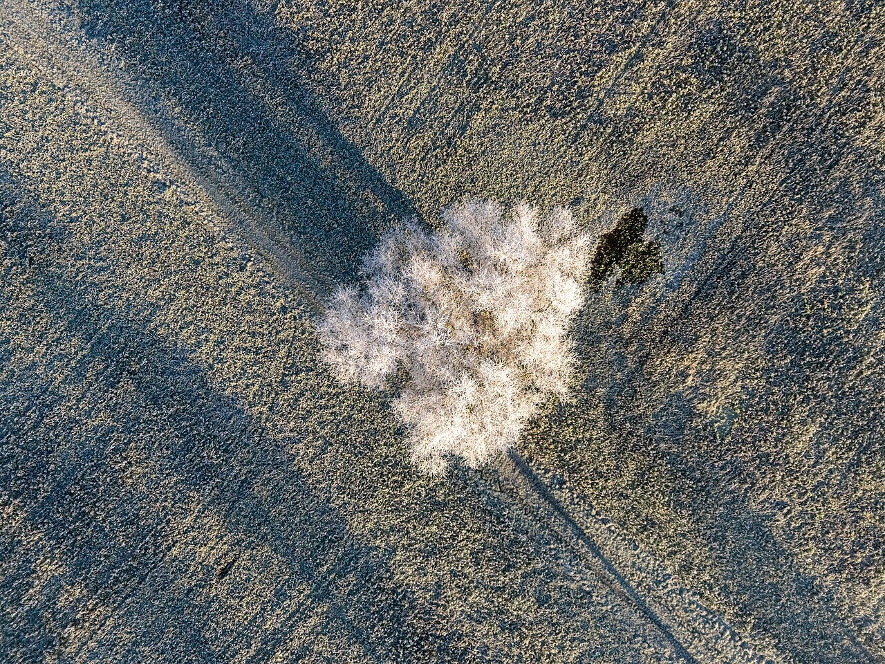 Click to View Larger