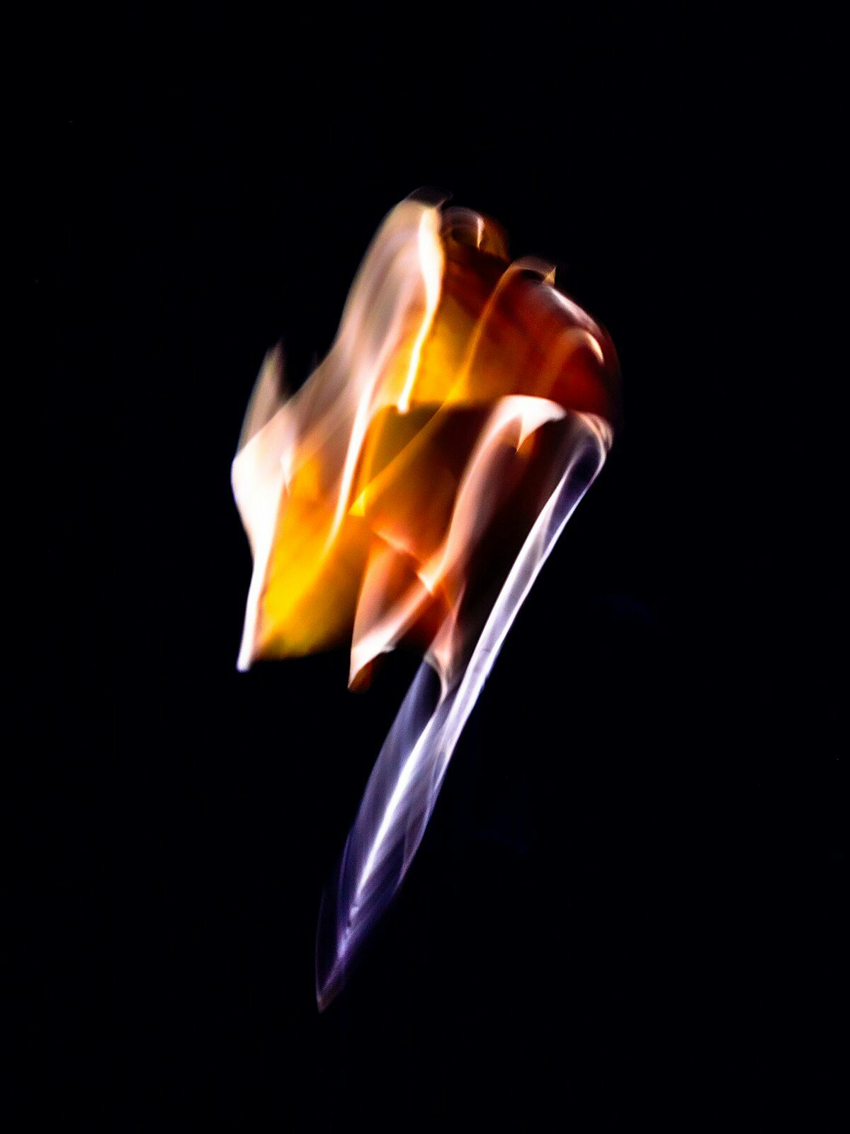 Click to View Larger