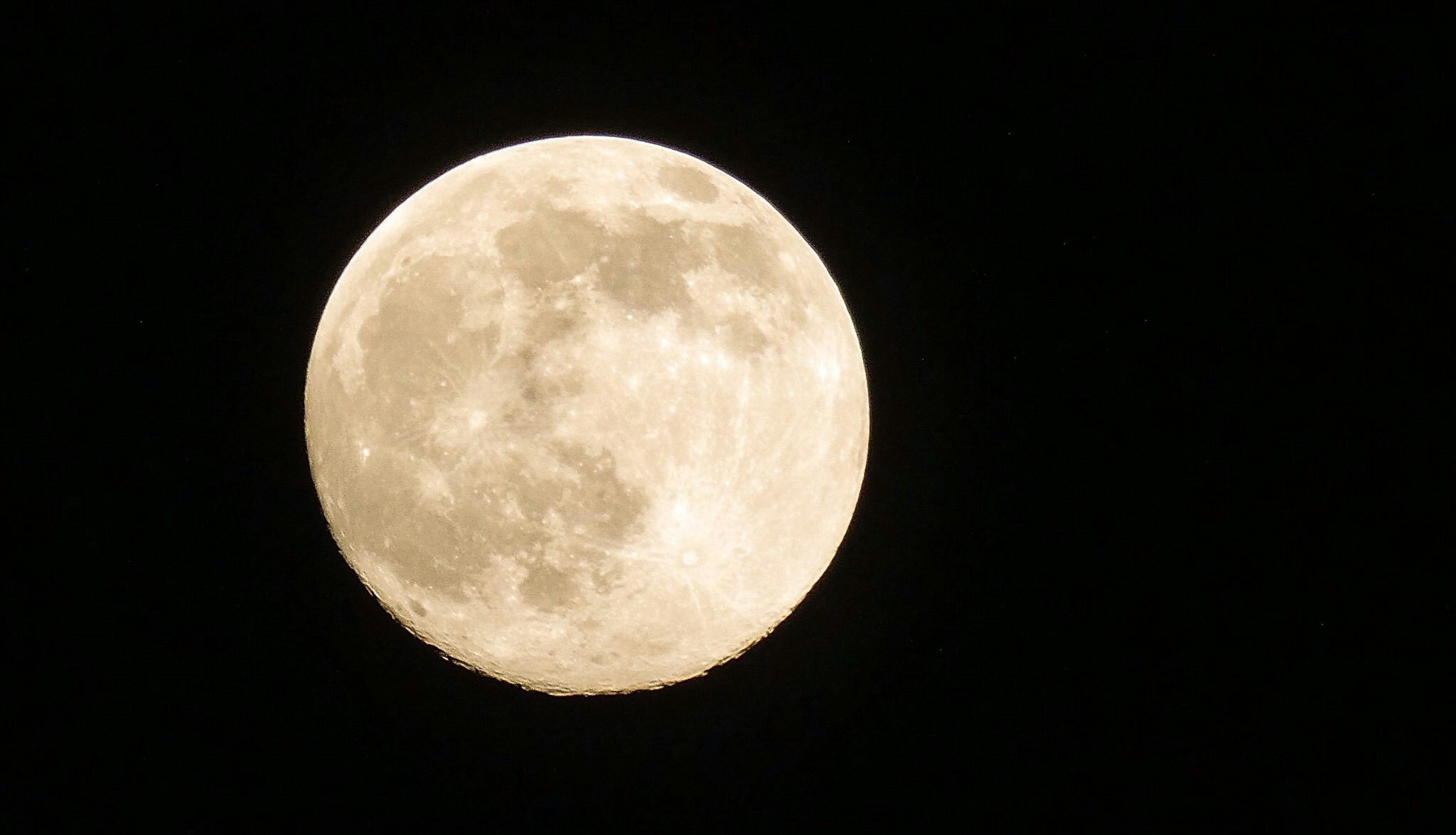 Click to View Larger