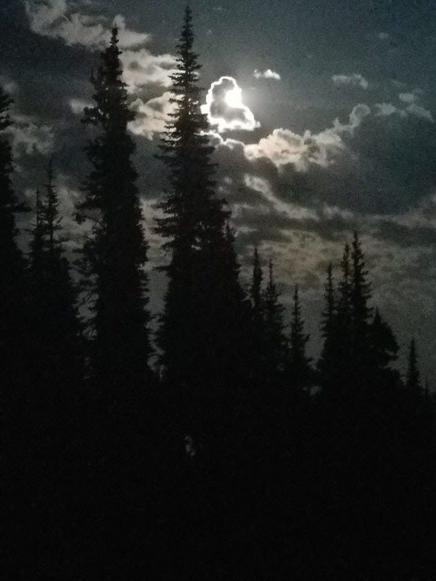 Click to View Larger