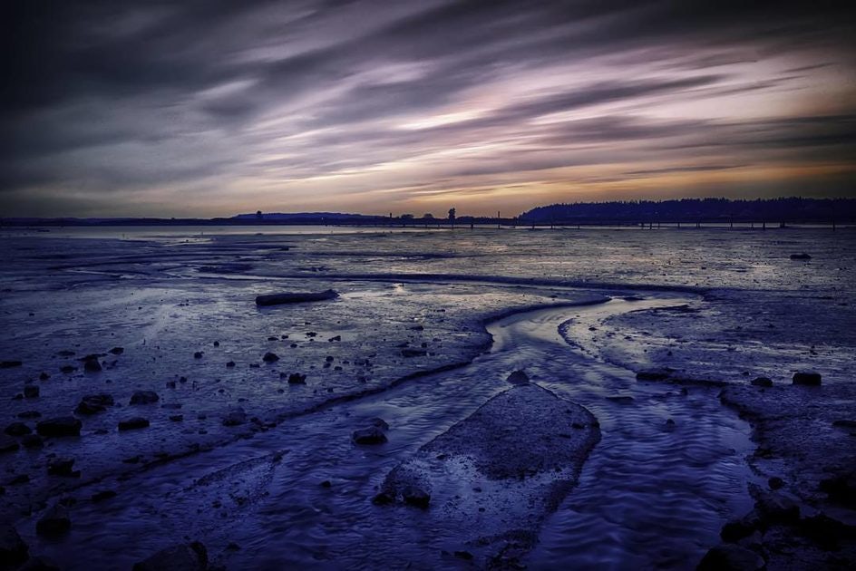 Click to View Larger