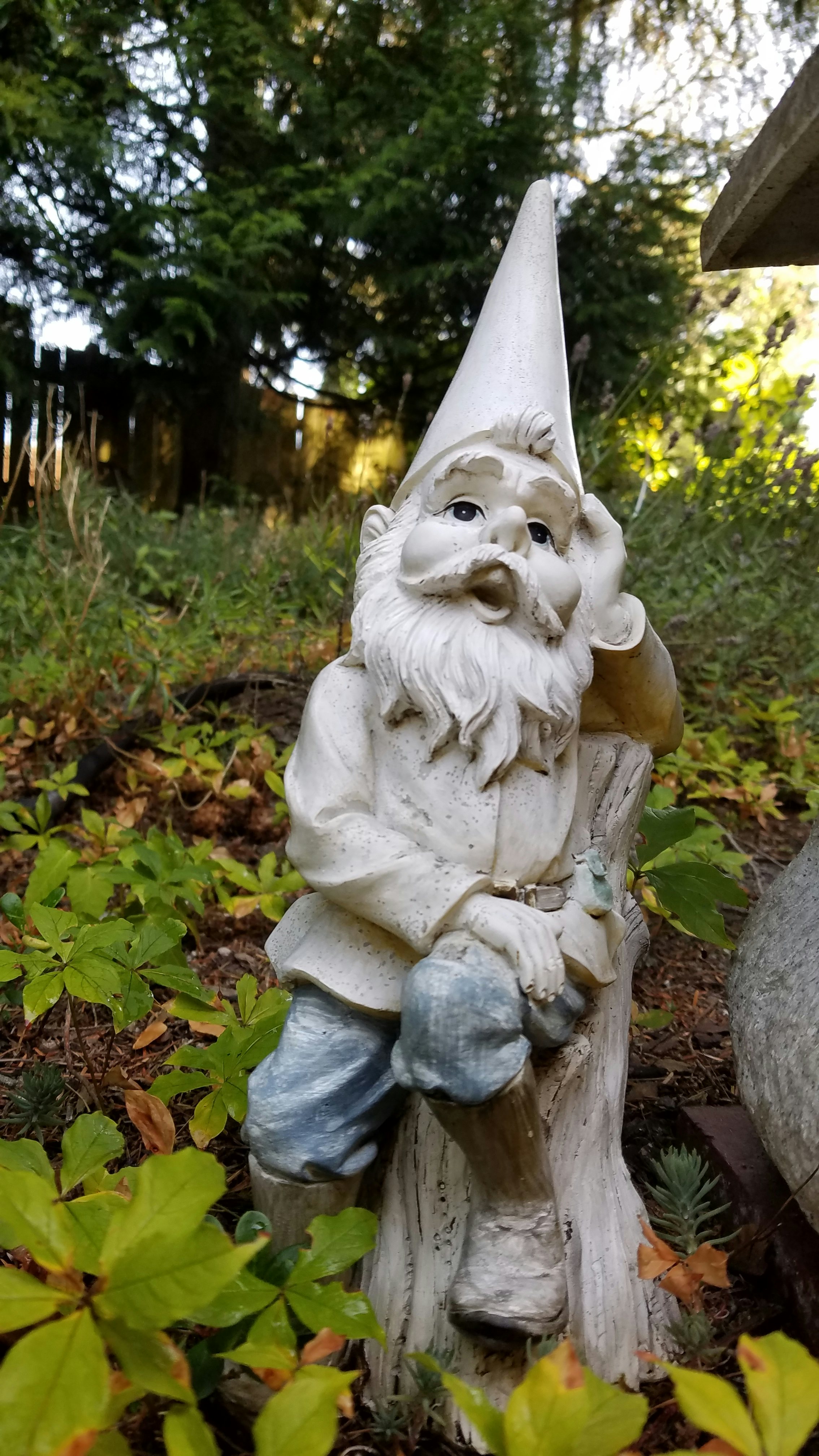 Click to View Larger