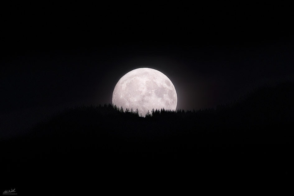 Click to View Larger