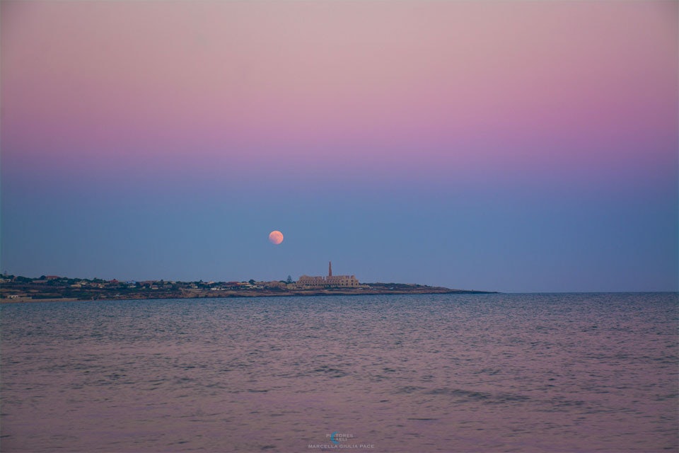 Click to View Larger