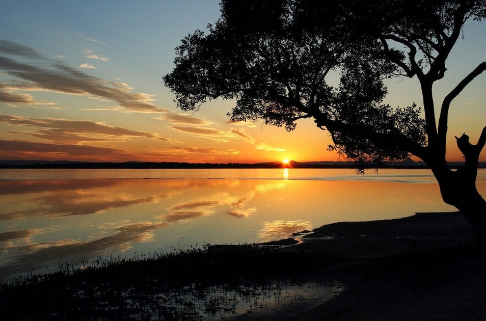 Click to View Larger